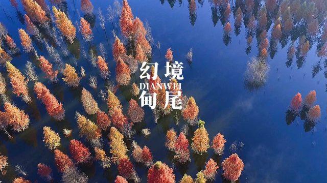 活力跳跳