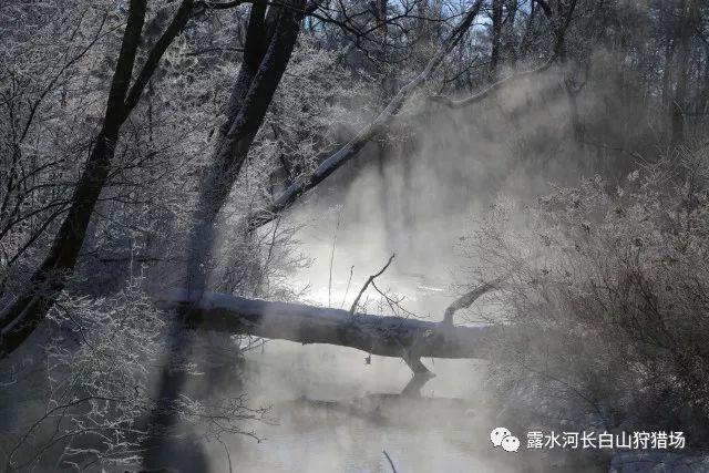 彩丽公主日常装扮