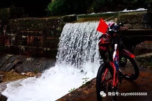 白莲花守则
