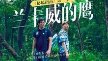 万词王