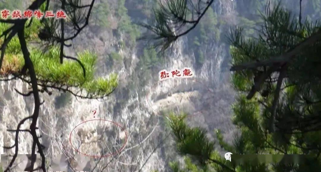 逃出林中村