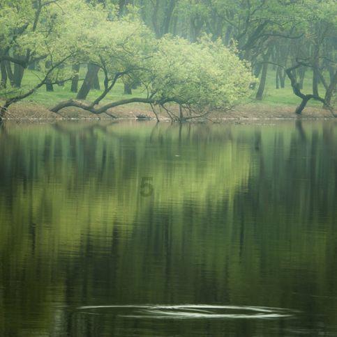 沪江开心词场