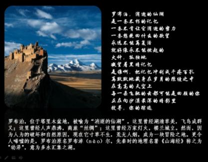 创作猫