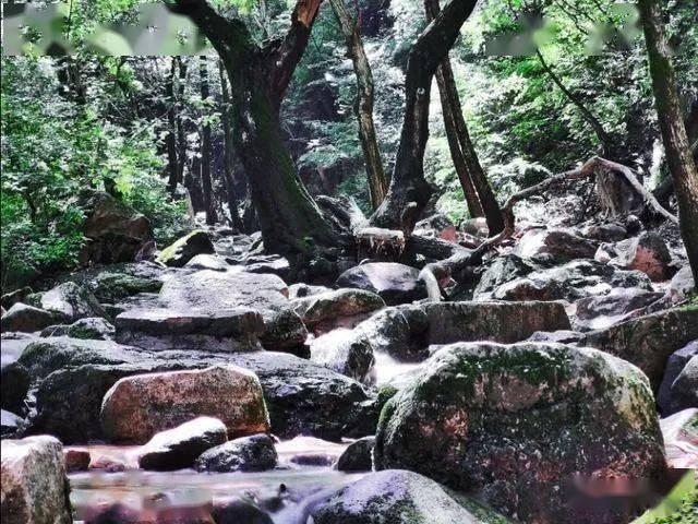 不思凡携《大雨》回归,水墨国风讲述哲思童话