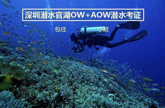 买一盒499元月饼要付600元运费,相关部门遏制高价月饼将带来啥改变?红迪网-分享交流社区