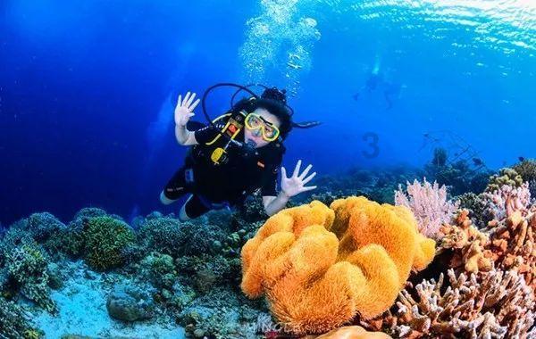 小猫钓鱼开船版最新版下载