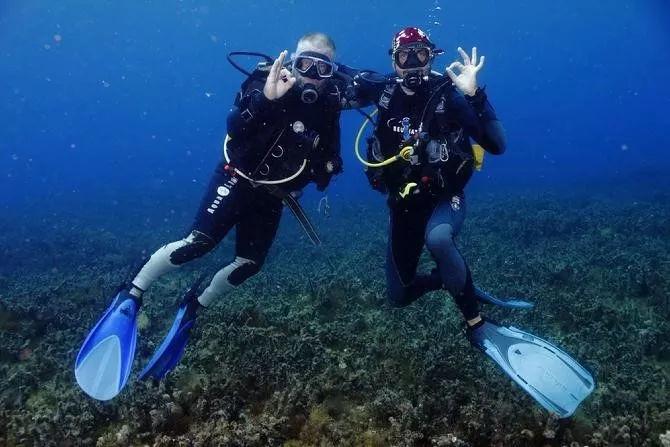 海产大王2中文版