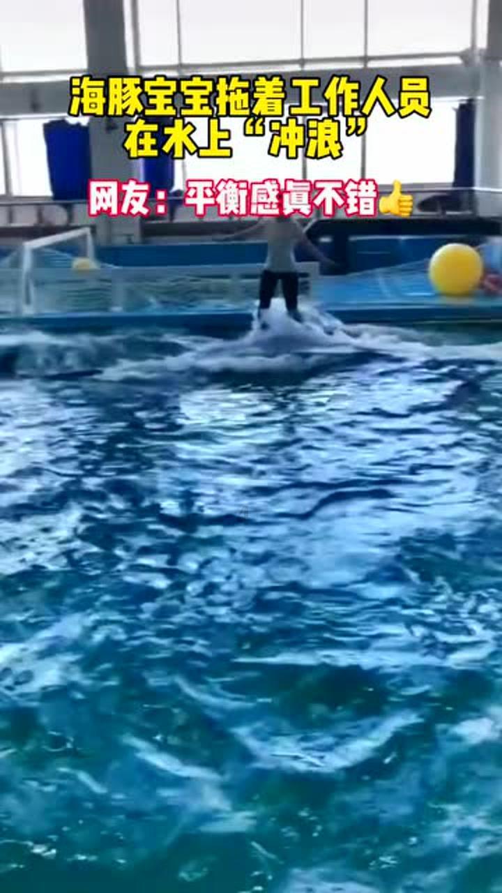 危险森林大逃脱