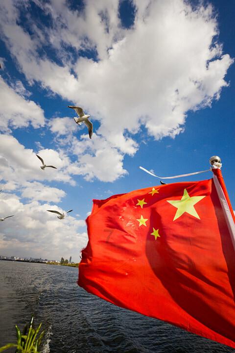 可爱的小孔雀救援