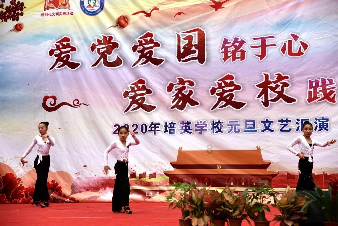拥有“白肉三文鱼”之名的脆鲷鱼,会成为循环水养殖新网红?