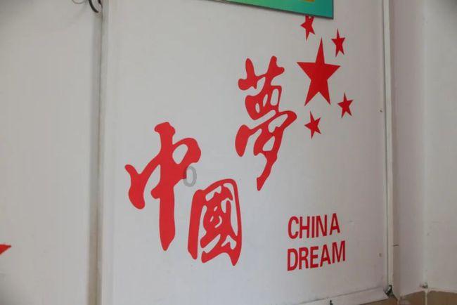 救援可爱小猪仔
