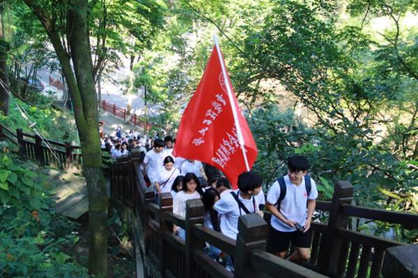 迷你忍者