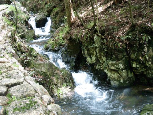 金湖县获批 全国休闲农业重点县