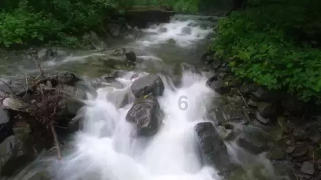 逃离椰子岛