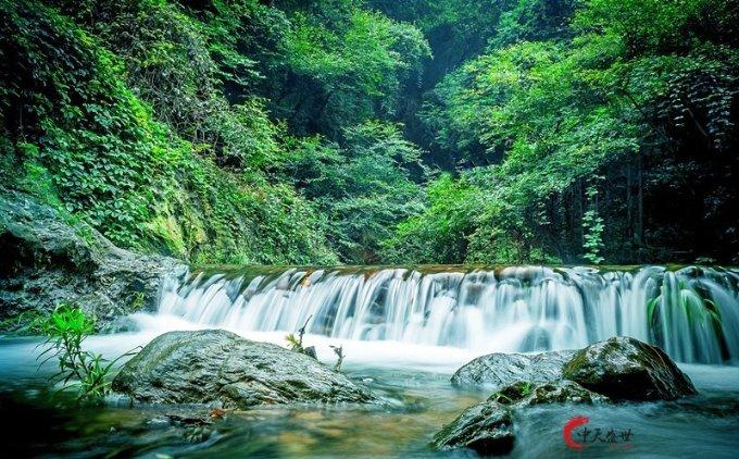 海盗的荣誉