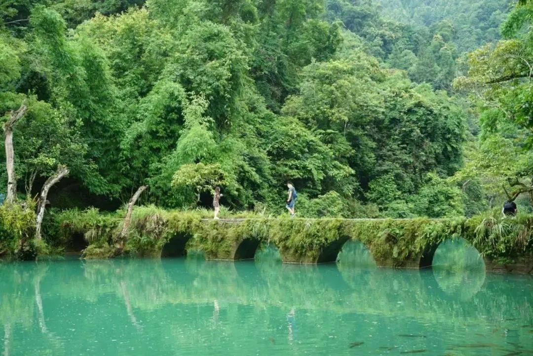 消除马陆虫的最快方法，马陆虫困扰？消除方法一览无余！