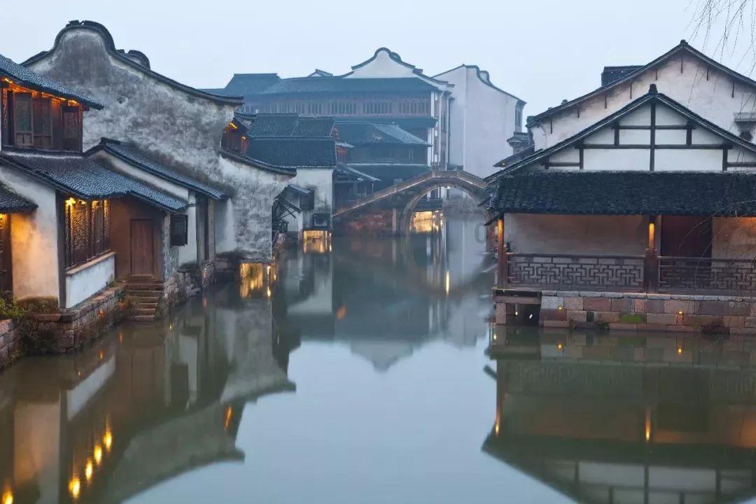 可爱小猫向上跳