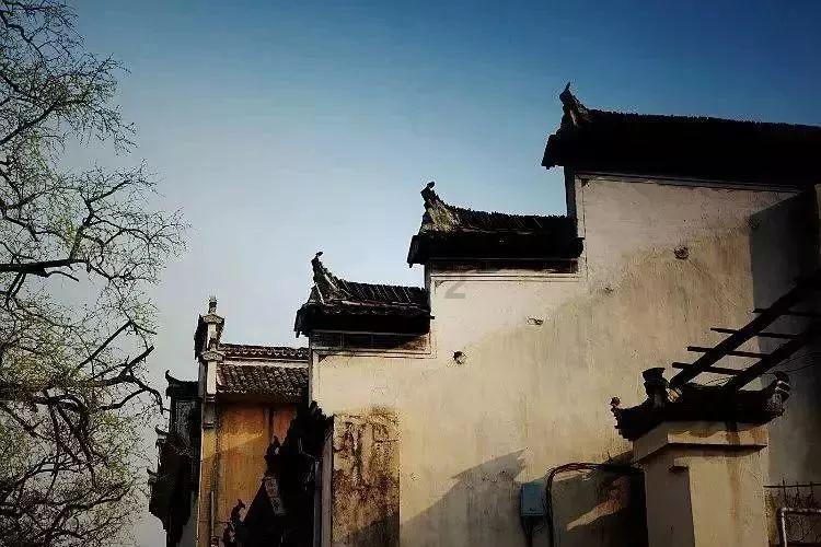 孤岛惊魂5
